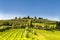 View of the olive plantations and vineyards of Tuscany on a Sunny spring day