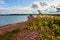 View from the Onondaga Lake West Trail