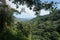 View onto the jungle on the lost city trek, ciudad perdida, close to Santa Marta, Colombia