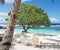 View onto a white sand beach with trees, shade and chairs for re