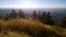 A view of Oregon from Spencer`s Butte