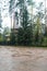 View of the Orthodox church through the trees in Gatchina, Russia.