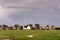 View on Oudeschild, a small historic town on the Wadden Island Texel, the Netherlands