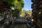 View out of the overgrown walls of Nan Madol - prehistoric ruined city. Pohnpei, Carolines, Micronesia, Oceania.