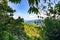 View out of the rainforest over the green island of Basse-Terre