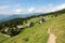 View over the alpine mountain pasture Zajamniki in Slovenia