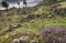 View over Aoineadh Mor Clearances in Ardnamurchan, Scotland.