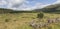 View over Aoineadh Mor Clearances in Ardnamurchan, Scotland.