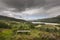 View over Aoineadh Mor & Loch Doire nam Mart in Ardnamurchan in Scotland.