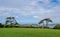 View over Appledore village and Taw / Torridge Estuary, North Devon.