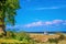 View over the bank vegetation to the Baltic Sea in front of Bansin on the island of Usedom