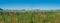 View over beautiful farm landscape with wheat field, red poppies flowers, wind turbines to produce green energy and electrical