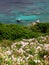 View over blooming rocky coast on the dark blue sea