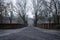 view over a bridge on a small castle at winter time with trees framing