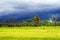 View over bright rice paddy on dark menacing clouds announce severe rain und thunder storm