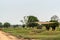 View over Chao Pho Khao Chalak Cemetery, Bang Phra, Thailand