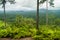 View over Cockscomb Basin Wildlife Sanctuary, Beliz