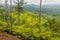 View over Cockscomb Basin Wildlife Sanctuary, Beliz