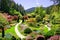 View over colorful flowers of a garden at springtime, Victoria, Canada