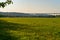 View over a dandelion meadow in the Mintarder Ruhr lowlands in the evening sun, Ruhr valley bridge and the village Mintard in the