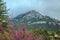 View over Deia town at the west coast of Mallorca, Spain