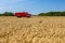 View over a field with mature wheat at farmland.