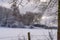 View over a field to the snow covered forest, Sauerland