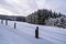 View over a field to the snow covered forest, Sauerland