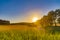 View over fields and trees in the light of the setting sun in the Lueneburg Heath in Germany