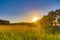 View over fields and trees in the light of the setting sun in the Lueneburg Heath in Germany.