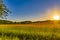 View over fields and trees in the light of the setting sun in the LÃ¼neburg Heath in Germany.