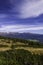 View over the gentle mountain slopes of the Moserkopf high moor in Lungau in Austria. In the foreground pine forests