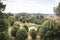 View over Giardino di Boboli in Florence, Italy