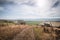 View over Golan Heights landscape Israel