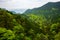 View over green forest with different coloring in Lushan National Park mountains Jiangxi China