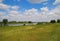 View over green meadow in rural dutch landscape on river Maas between Roermond and Venlo - Netherlands