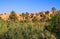 View over green plants and palm trees on isolated clay house village against blue sky