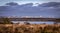 View over heathland and lake to seaside town