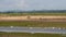 View over Horsey Island, Braunton Marsh, Devon, UK at low tide, photo taken from South West Coastal Path.