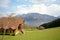 View over the lake Attersee - Farm holidays, Salzburger Land - Alps Austria