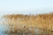 View over the lake Flyndersoe in Denmark , with mist laying over the calm water