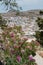 View over Lindos Town with rooftops. Greek Island of Rhodes. Whitewash houses. Europe