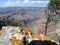 View Over Looking the Grand Canyon