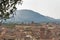 View over Lucca, Italy, from underneath trees on the Guinigi tow