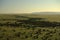 View over Masai Mara