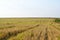 The view over the meadow after a summer of mowing