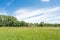 View over the meadows near Bonn with flying pollen