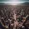 View over Mexican desert filled with cactus