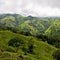 View over Monteverde