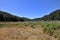 View over Mount Palomar National Park